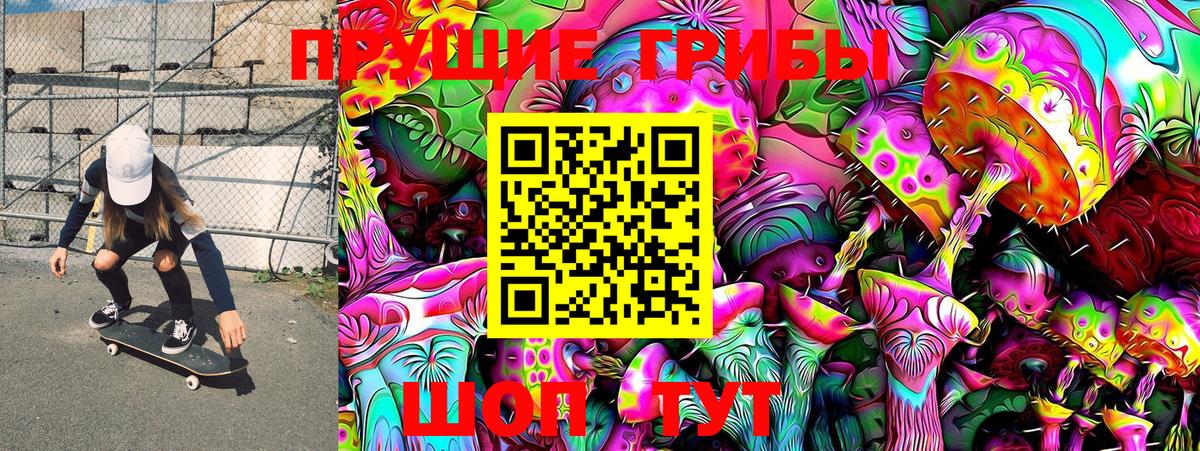 купить  цена  Галлюциногенные грибы MAGIC MUSHROOMS  Вход с VPN  Керчь 
